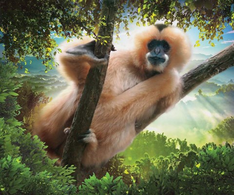 Framed It's All About Me Print