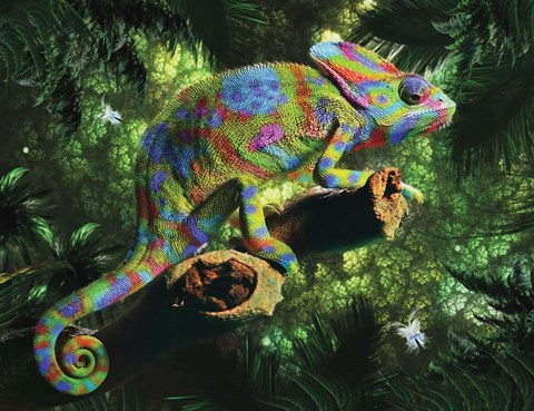 Framed Colorized Print