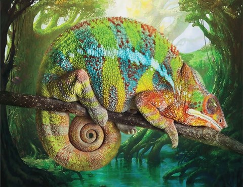 Framed Fat &amp; Sassy Print