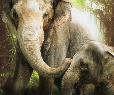 Framed Tender Giants Print