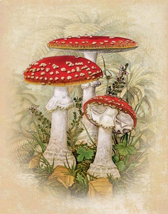 Framed Three To Thrive Print