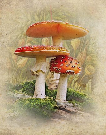 Framed Standing Tall Print