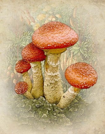 Framed Five To Thrive Print