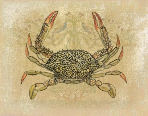 Framed Aquatica One Print