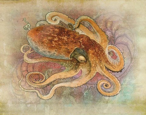 Framed Aquatica Three Print