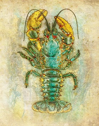 Framed Aquatica Five Print