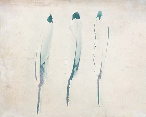 Framed Reflection Print