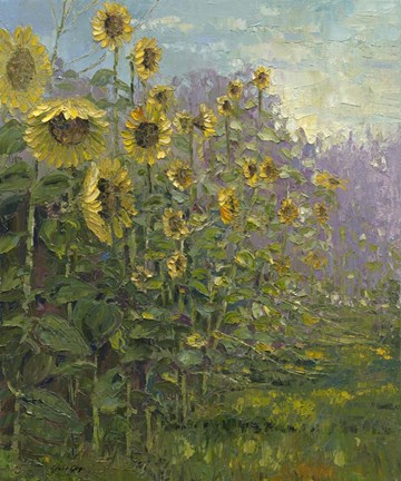 Framed Sunflowers Sunrise Print