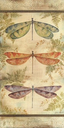 Framed Classical Dragonfly Panel Print