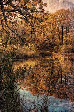 Framed Clove Lakes Park in Autumn C Print