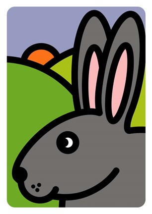 Framed Coniglio Print