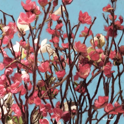 Framed Pink Flowers 1 Print