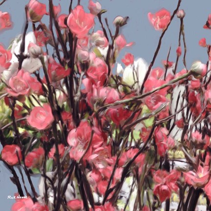 Framed Pink Flowers 2 Print