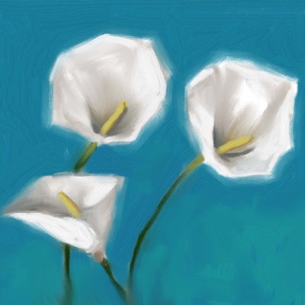 Framed Spath I Print