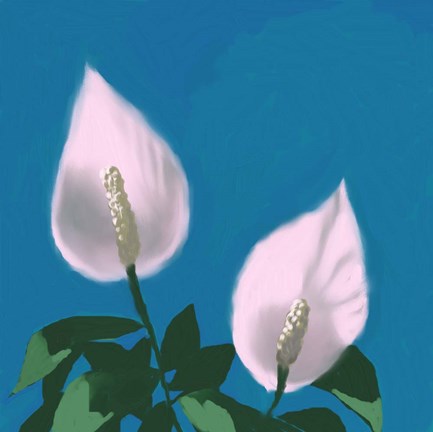 Framed Spath II Print