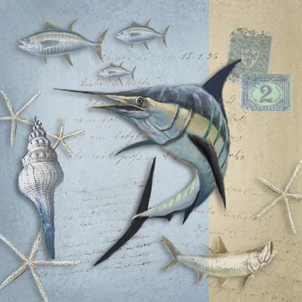 Framed Sealife 2 Print