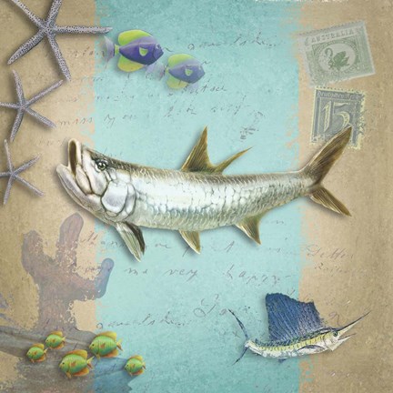 Framed Sealife 3 Print