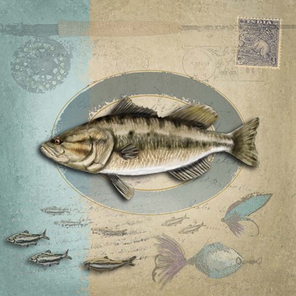 Framed Freshwater Fishing 3 Print