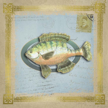 Framed Freshwater Fishing 5 Print