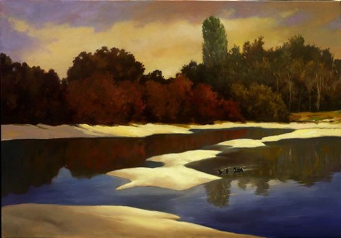 Framed Sandbanks I Print