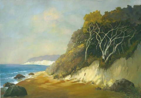 Framed Northern Shore I Print