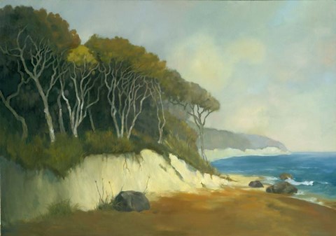 Framed Northern Shore II Print