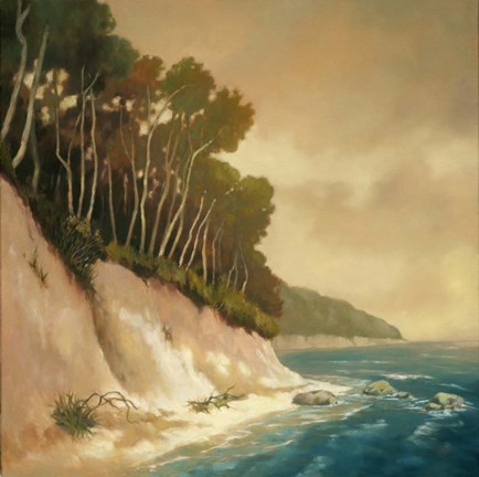 Framed High Tide II Print