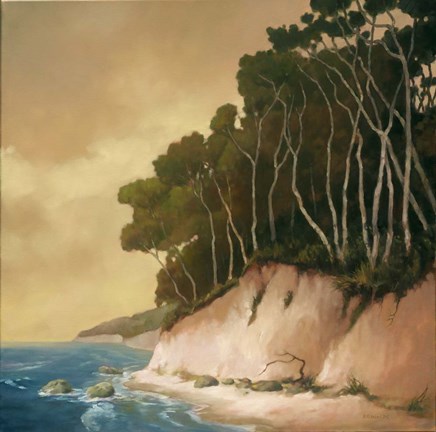 Framed High Tide I Print