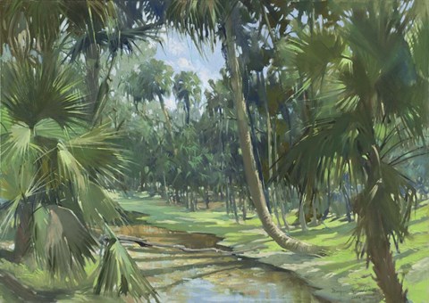 Framed Mid Afternoon Gemini Springs Print