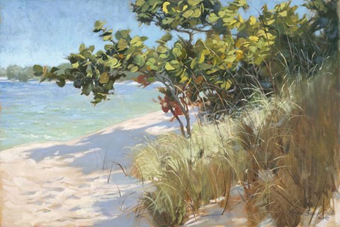 Framed West Coast Seagrapes Print