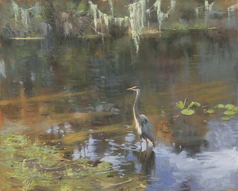 Framed Basking In The Sun Print