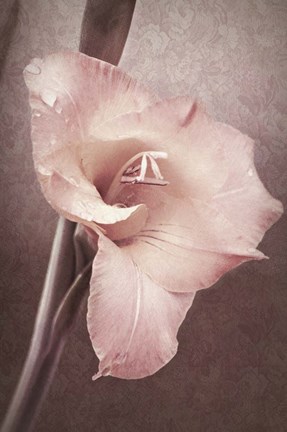 Framed Glad To Be Alive Print