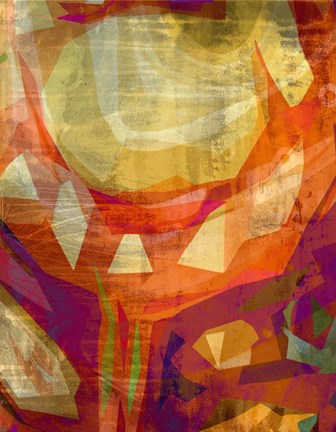 Framed Triagonal Bloom Print