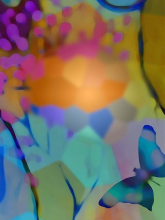 Framed Beautiful Butterfly Print