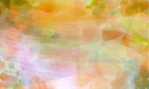 Framed Wild Verbena A Print