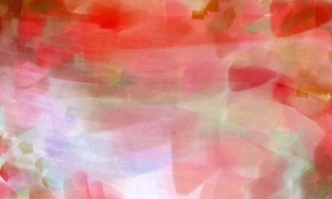 Framed Wild Verbena B Print