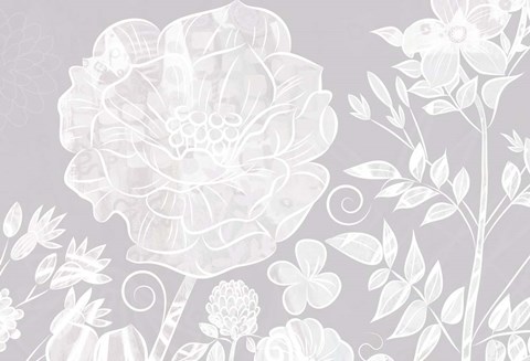 Framed Field Poppy - White Print