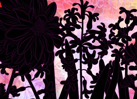 Framed Hyacinth Heaven F Print