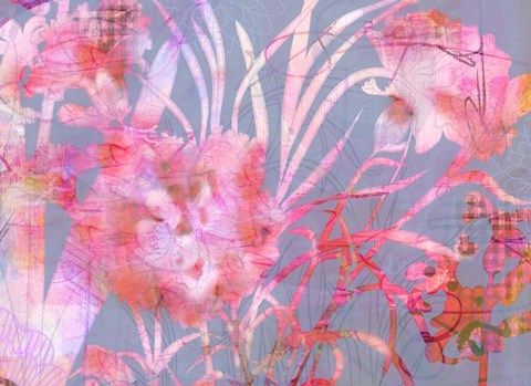 Framed Carnation Creation G Print