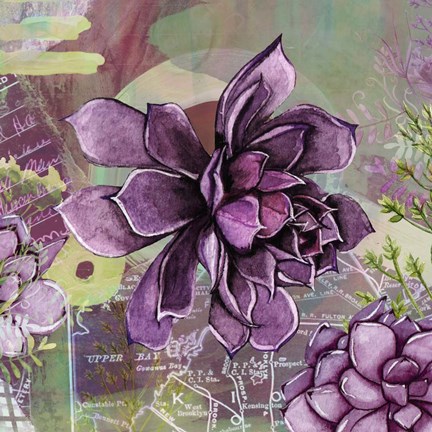 Framed Adella Agave Garden Print