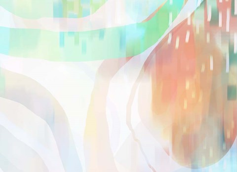 Framed Cape Apricots Print