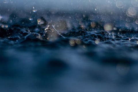 Framed Delight In Rain Print