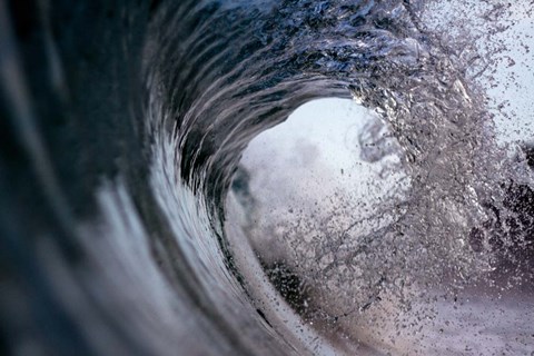 Framed Evening Flair Print