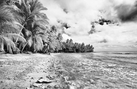 Framed Tropical Beach D Print