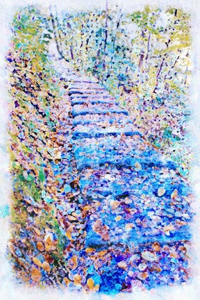 Framed NC Steps Print