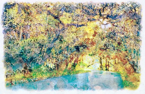 Framed Tree Tunnel Print