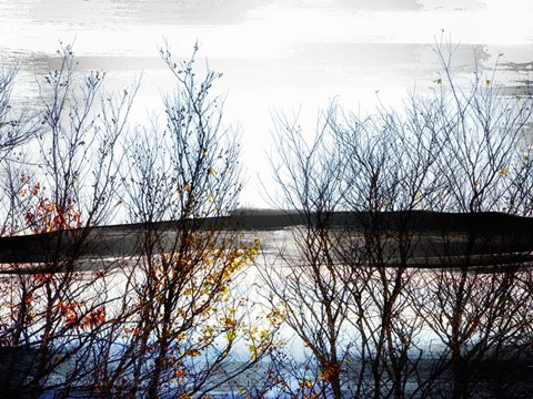 Framed Tree Sillhouette Print