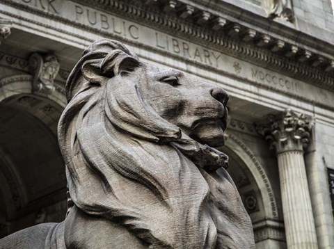 Framed New York Public Libray Print