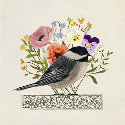 Framed Avian Collage II Print