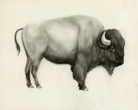 Framed High Plains I Print